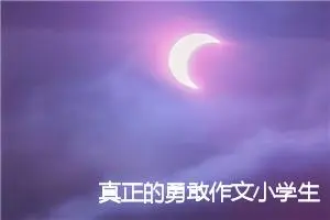 真正的勇敢作文小学生(精选5篇)