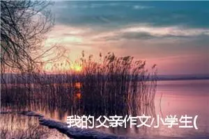 我的父亲作文小学生(精选5篇)