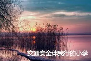 交通安全伴我行的小学生作文(精选5篇)