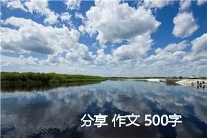 分享 作文 500字