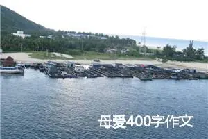 母爱400字作文