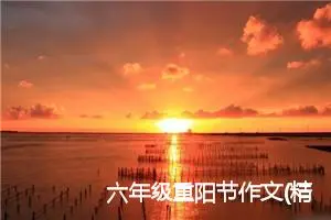 六年级重阳节作文(精选5篇)