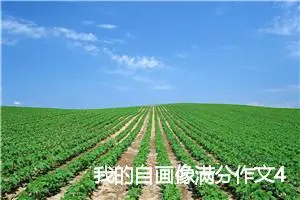 我的自画像满分作文400字(精选10篇)