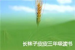 长袜子皮皮三年级读书笔记