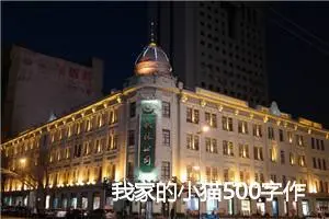 我家的小猫500字作文(精选6篇)