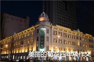 美丽的菊花四年级作文