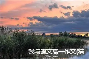 我与语文高一作文(精选5篇)
