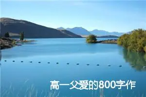 高一父爱的800字作文通用(精选5篇)
