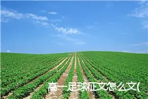 高一足球征文怎么文(精选5篇)