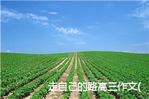 走自己的路高三作文(精选5篇)