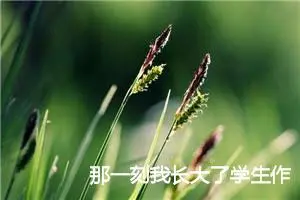 那一刻我长大了学生作文(精选12篇)