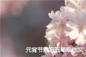 元宵节难忘五年级作文(精选5篇)