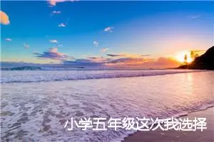 小学五年级这次我选择了什么作文(精选5篇)