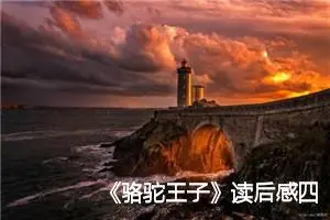 《骆驼王子》读后感四年级作文