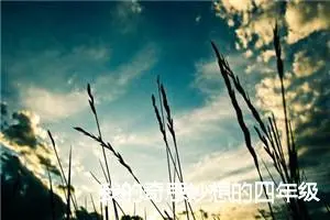 我的奇思妙想的四年级作文400字(精选7篇)