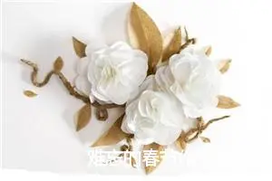 难忘的春节作文高三(精选5篇)