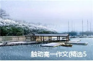 触动高一作文(精选5篇)