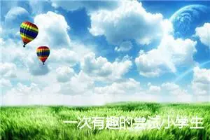 一次有趣的尝试小学生的作文(精选5篇)