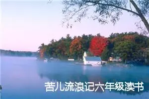 苦儿流浪记六年级渎书笔记