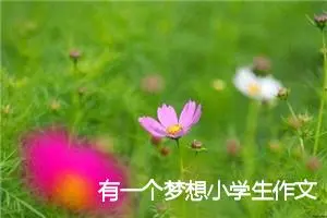 有一个梦想小学生作文(精选5篇)