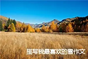 描写我最喜欢的雪作文(精选5篇)