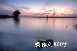 枫 作文 800字