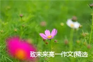 致未来高一作文(精选5篇)