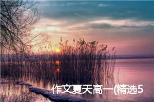 作文夏天高一(精选5篇)