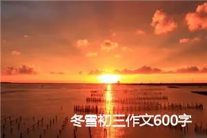 冬雪初三作文600字(精选5篇)