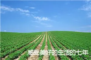 感受美好的生活的七年级作文(精选5篇)