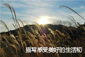 描写感受美好的生活初中作文(精选5篇)