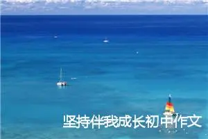 坚持伴我成长初中作文600字(精选5篇)