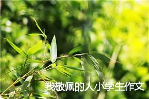我敬佩的人小学生作文(精选5篇)