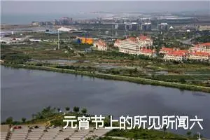 元宵节上的所见所闻六年级作文(精选7篇)