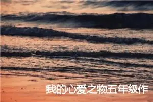 我的心爱之物五年级作文500字(精选10篇)