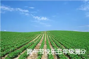 端午节快乐五年级满分作文(精选5篇)