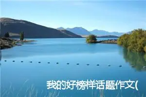 我的好榜样话题作文(精选5篇)