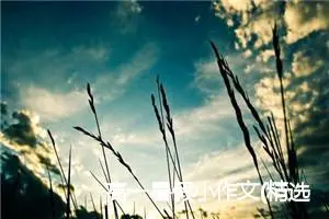 高一暑假小作文(精选5篇)