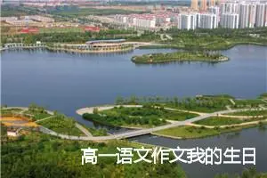 高一语文作文我的生日(精选5篇)