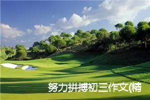 努力拼搏初三作文(精选5篇)