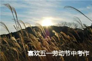 喜欢五一劳动节中考作文(精选5篇)