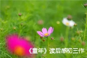 《童年》读后感初三作文