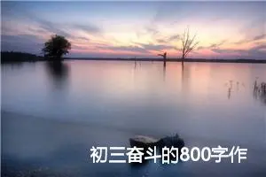 初三奋斗的800字作文(精选14篇)