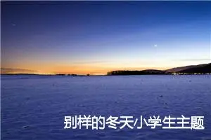 别样的冬天小学生主题作文(精选5篇)