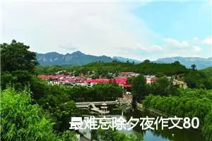 最难忘除夕夜作文800字(精选10篇)