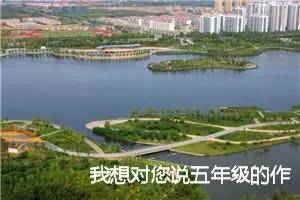 我想对您说五年级的作文(精选10篇)