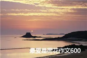 最爱是荷花作文600字(精选5篇)