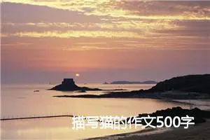 描写猫的作文500字(精选5篇)