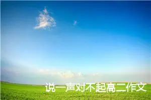 说一声对不起高二作文(精选4篇)