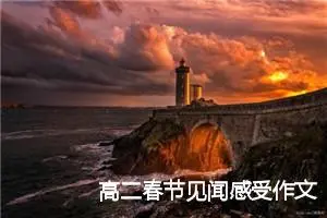 高二春节见闻感受作文(精选5篇)